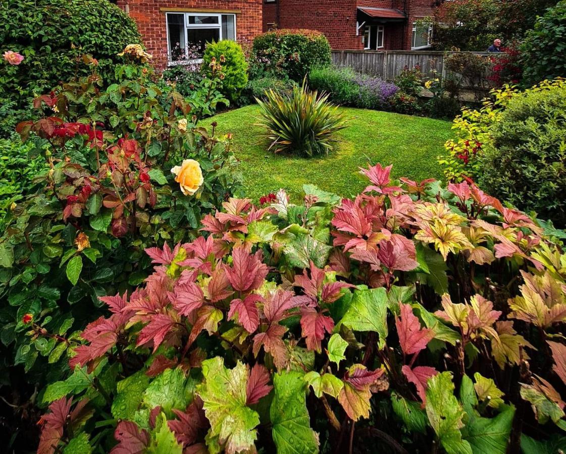 Appartamento The North Bay Hideaway, Scarborough Esterno foto